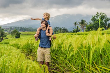 Baba ve oğul yolcuları Jatiluwih pirinç terasları, Bali, Endonezya poz