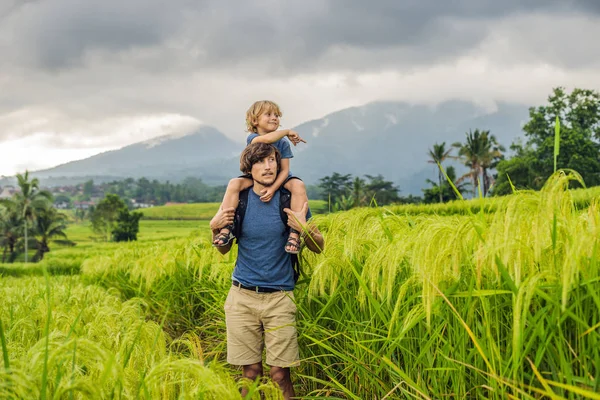 Táta Syn Cestující Vystupují Jatiluwih Rýžové Terasy Bali Indonésie — Stock fotografie