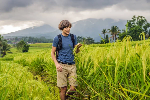Молодой Человек Позирующий Jatiluwih Rice Terraces Бали Индонезия — стоковое фото