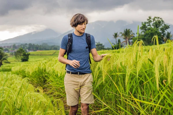 Молодой Человек Позирующий Jatiluwih Rice Terraces Бали Индонезия — стоковое фото