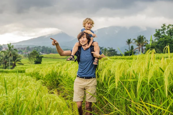 Baba Oğul Yolcuları Jatiluwih Pirinç Terasları Bali Endonezya Poz — Stok fotoğraf