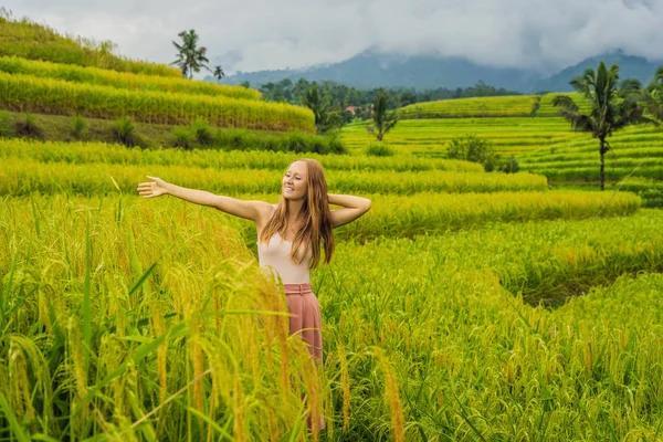 Junge Reisende Frau Posiert Auf Jatiluwih Reis Terrassen Bali Indonesien — Stockfoto