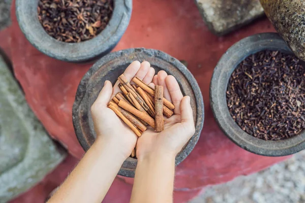 Palitos Canela Manos Femeninas Sobre Fondo Especias — Foto de Stock