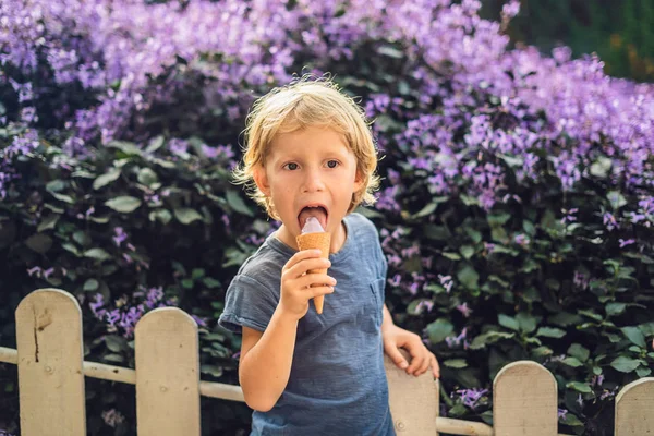 The boy eats lavender ice cream on the background of a lavender field — Stock Photo, Image