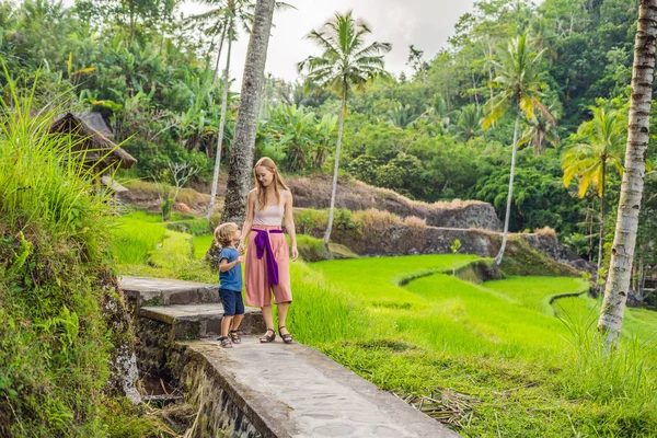 Mãe e filho no campo de arroz no fundo de terraços de arroz, Ubud, Bali, Indonésia. Viajar com conceito de crianças. Ensinar as crianças na prática — Fotografia de Stock