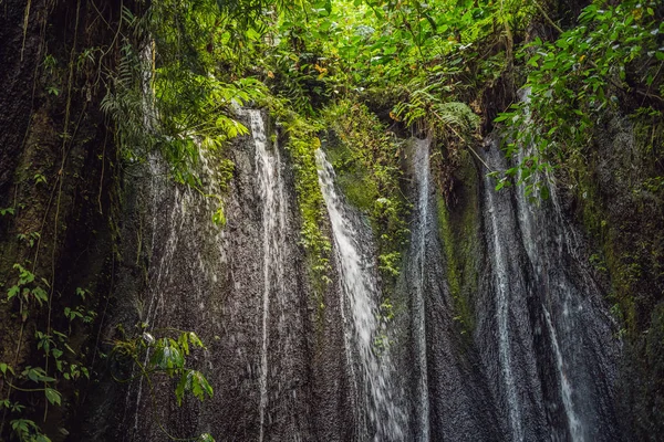Large waterfalls in green tropical forest focus on waterfall. Bali