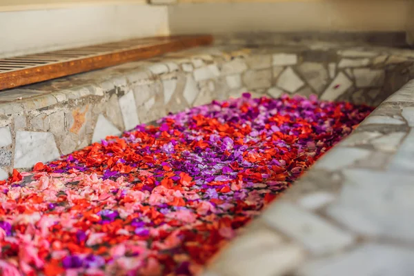 沐浴在水疗中心的热带花卉花瓣和芳香油 — 图库照片