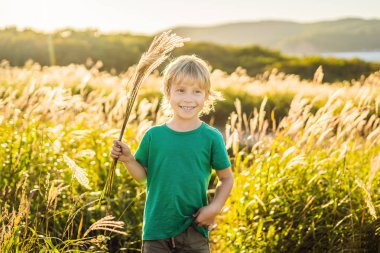 Mısır tarlası spike holding neşeli gülümseyen küçük çocuk 