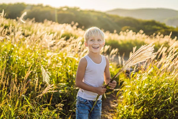 Счастливый Улыбающийся Маленький Мальчик Кукурузном Поле Держит Шип — стоковое фото