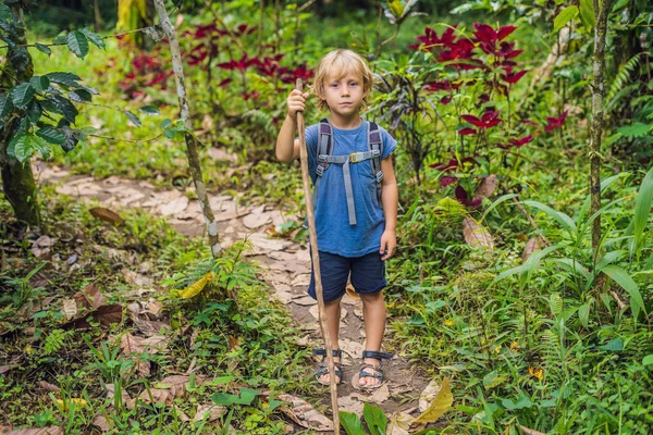 Menino Feliz Andando Floresta Com Pau Para Rastrear — Fotografia de Stock