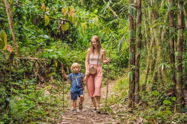 Anne ve oğlu birlikte trekking sopa ile ormanda yürüyüş
