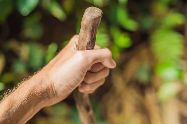 Male Hand Tracking Stick Tropical Forest — Stock Photo, Image