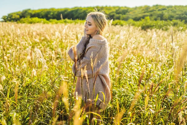 Junge Schöne Frau Spaziert Herbst Auf Einem Feld Zwischen Weizenspitzen — Stockfoto