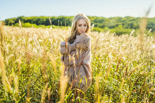 Junge Schöne Frau Spaziert Herbst Auf Einem Feld Zwischen Weizenspitzen — Stockfoto