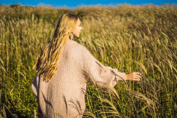 Junge Schöne Frau Berührt Weizenspitzen Feld — Stockfoto