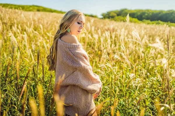 Młody Uśmiechający Się Piękna Kobieta Jesień Krajobraz Kolcami Pszenicy — Zdjęcie stockowe