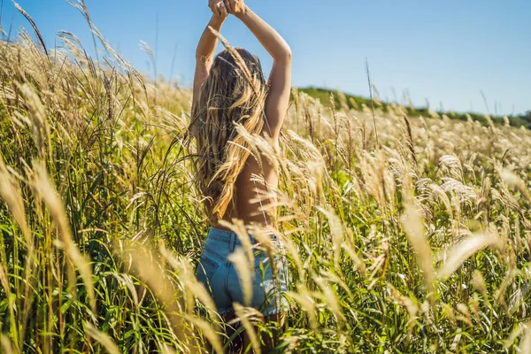 Junge Frau Sommer Auf Feld Mit Weizenspitzen — Stockfoto