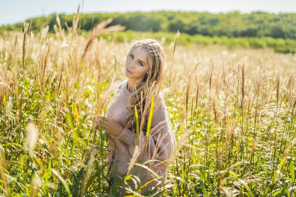 Młoda Piękna Kobieta Jesień Krajobraz Kolcami Pszenicy — Zdjęcie stockowe