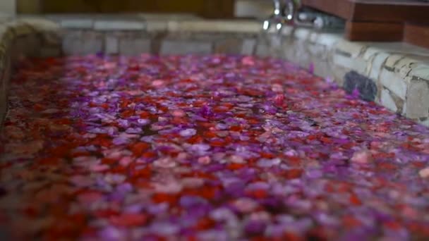 Slowmotion záběr ženy ve vaně s lístky květů po lázeňské procedury — Stock video