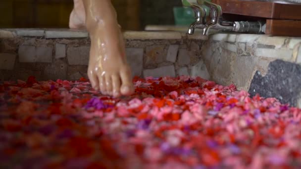 Zeitlupenaufnahme einer Frau beim Baden mit Blütenblättern nach einem Wellness-Eingriff — Stockvideo