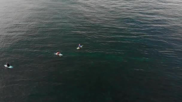 Letecká zpomaleně snímek surfování místo na tropickém ostrově při západu slunce — Stock video