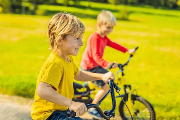 Yeşil Parkta Güneşli Gün Bisiklet Iki Mutlu Çocuk — Stok fotoğraf