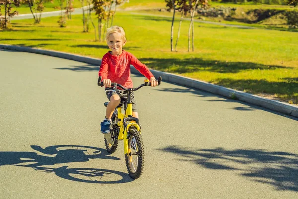 Весной Счастливого Мальчика Катающегося Велосипеде Зеленом Парке — стоковое фото