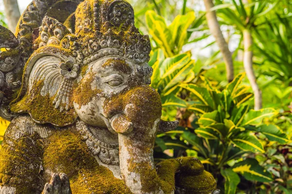 Ganesha Statue Covered Moss Park Bali Island — Stock Photo, Image