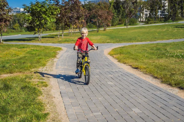 Ευτυχισμένο Αγόρι Ιππασία Ποδήλατο Στο Καταπράσινο Πάρκο Κατά Διάρκεια Της — Φωτογραφία Αρχείου
