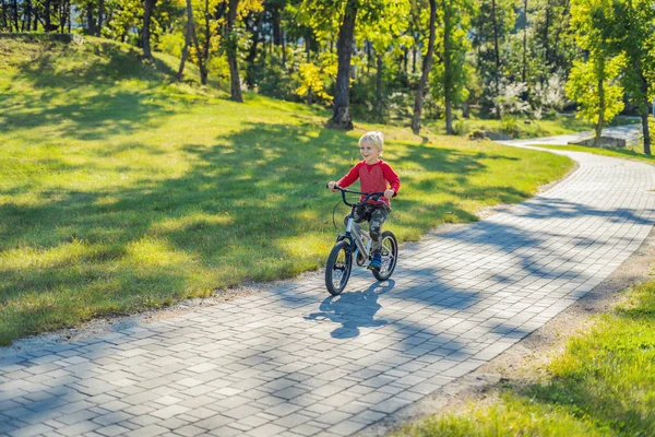 Ευτυχισμένο Αγόρι Ιππασία Ποδήλατο Στο Καταπράσινο Πάρκο Κατά Διάρκεια Της — Φωτογραφία Αρχείου