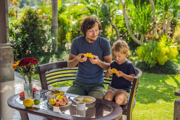 Батько Син Їдять Манго Разом Вранці Терасі — стокове фото