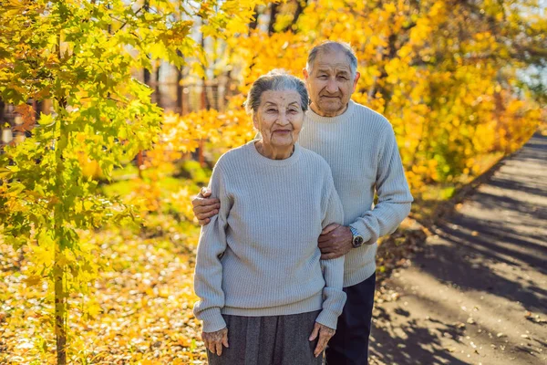 Felice Coppia Anziana Piedi Nella Foresta Autunnale — Foto Stock