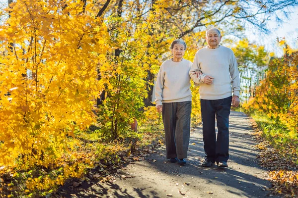 Felice Coppia Anziana Piedi Nella Foresta Autunnale — Foto Stock