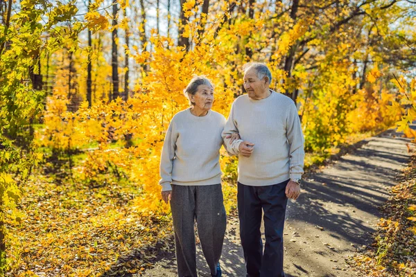 Gelukkige Senior Paar Wandelen Herfst Bos — Stockfoto