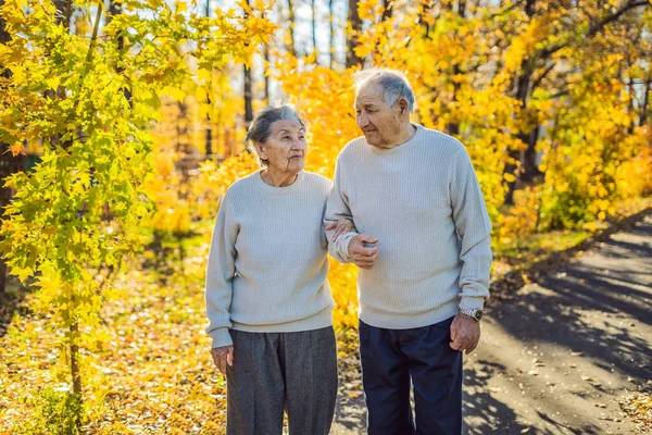 快乐的老年夫妇在秋季森林漫步 — 图库照片