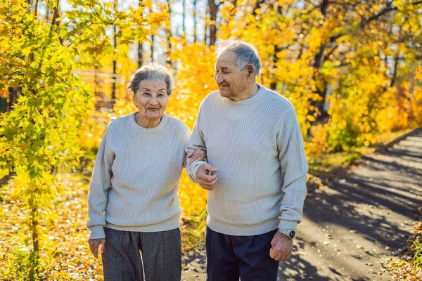 快乐的老年夫妇在秋季森林漫步 — 图库照片