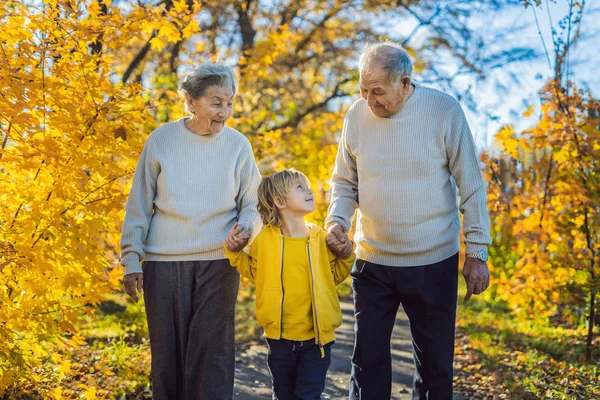 Coppia Anziana Con Nipote Che Cammina Nel Parco Autunnale — Foto Stock