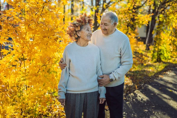 Felice Coppia Anziana Divertirsi Parco Autunnale — Foto Stock