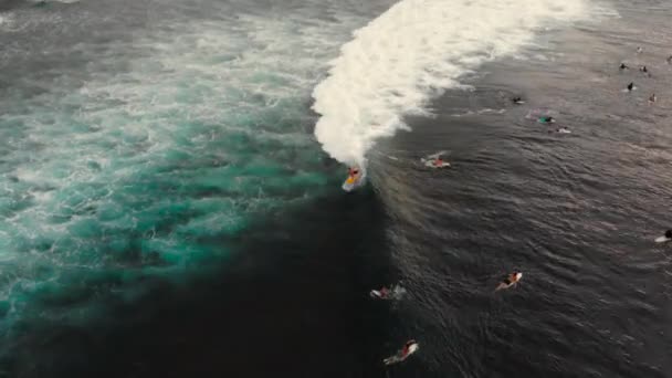 Luchtfoto van een plek surfen op een tropisch eiland bij zonsondergang — Stockvideo