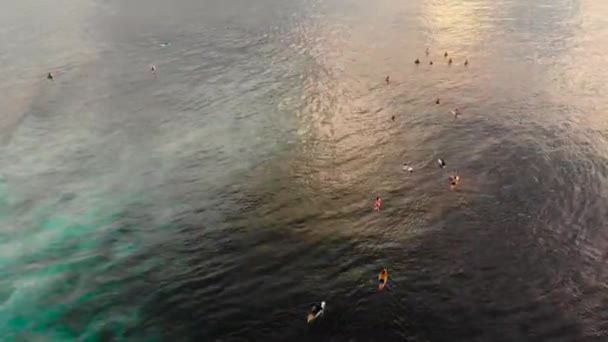 Zdjęcia lotnicze z surfowania miejscu na tropikalnej wyspie o zachodzie słońca — Wideo stockowe