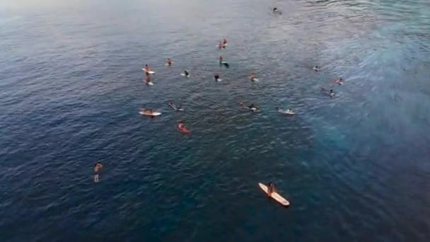 Повітряний знімок зони серфінгу на тропічному острові на заході сонця — стокове відео