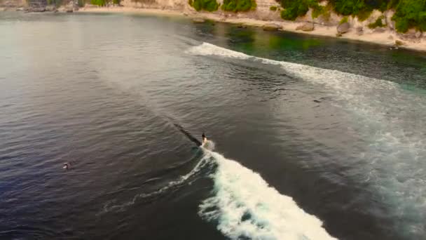 Luchtfoto van een plek surfen op een tropisch eiland bij zonsondergang — Stockvideo