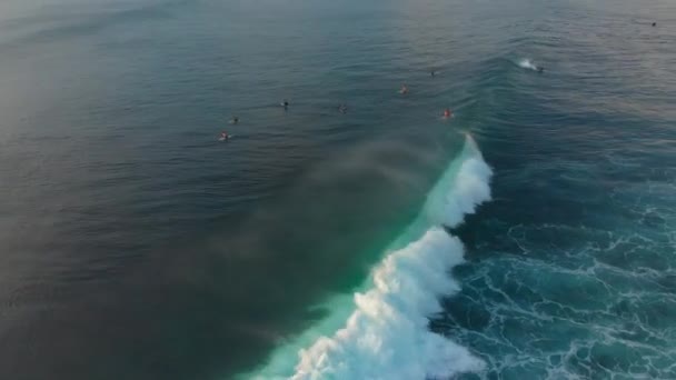 Luchtfoto van een plek surfen op een tropisch eiland bij zonsondergang — Stockvideo