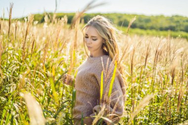 Kuru çiçekler, sonbahar yatay, genç güzel kadın, buğday gönderiyor. Moda sonbahar, kış. Güneşli sonbahar, rahat sonbahar kazak. moda fotoğraf