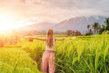 Jatiluwih pirinç terasları Bali, Endonezya yürürken genç kadın gezgin.