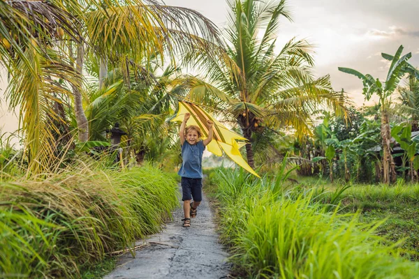Çocuk Pirinç Alan Ubud Bali Adası Endonezya Uçan Uçurtma Başlatma — Stok fotoğraf