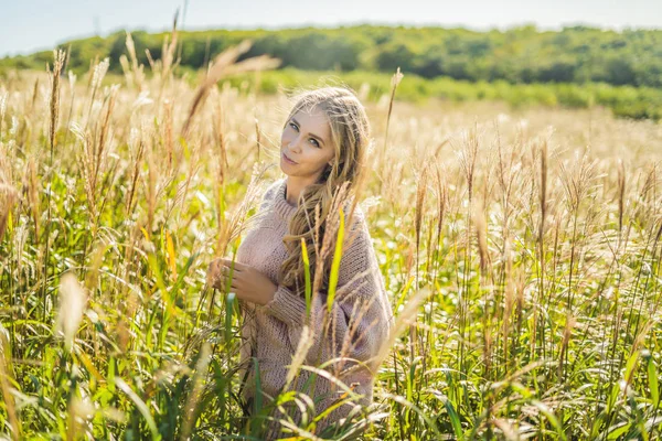 Junge schöne Frau in herbstlicher Landschaft mit trockenen Blumen, Weizenspitzen. Mode Herbst, Winter. sonniger Herbst, kuscheliger Herbstpullover. Modefoto — Stockfoto