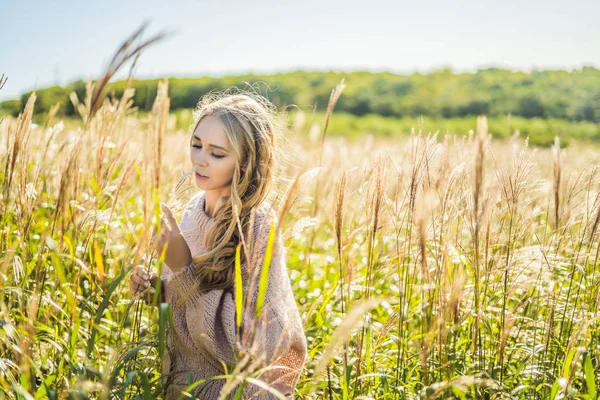Młoda piękna kobieta w jesień krajobraz z suchych kwiatów, pszenicy kolce. Moda Jesień, zima. Słoneczny, przytulne swetry jesień. Fotografia mody — Zdjęcie stockowe