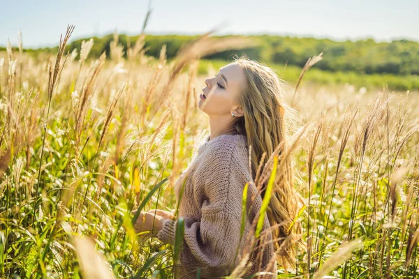 Młoda piękna kobieta w jesień krajobraz z suchych kwiatów, pszenicy kolce. Moda Jesień, zima. Słoneczny, przytulne swetry jesień. Fotografia mody — Zdjęcie stockowe