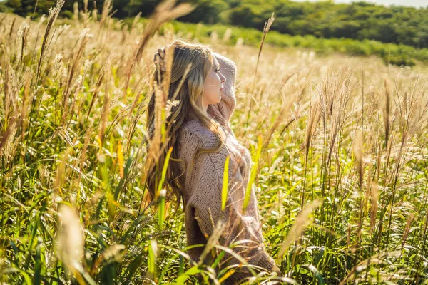 乾燥した花と秋の風景に若くてきれいな女性、小麦のスパイクします。ファッションの秋、冬。日当たりの良い秋、居心地の良い秋のセーター。ファッション写真 — ストック写真